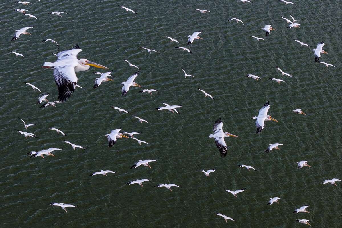 Konya’nın ünlü gölünde kuraklık sonrası sevindiren dönüş 10